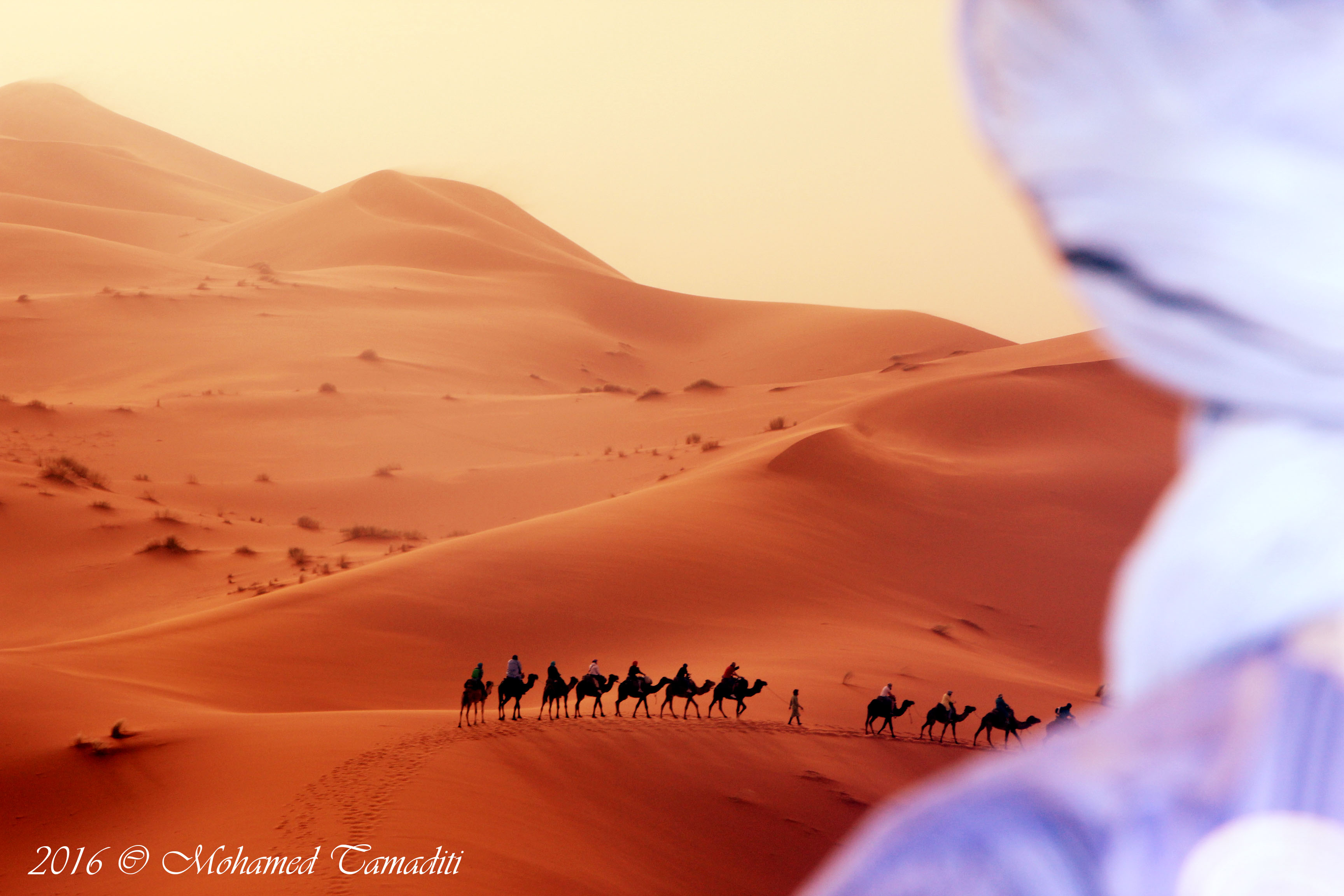 Dunes du Sahara au coucher du soleil