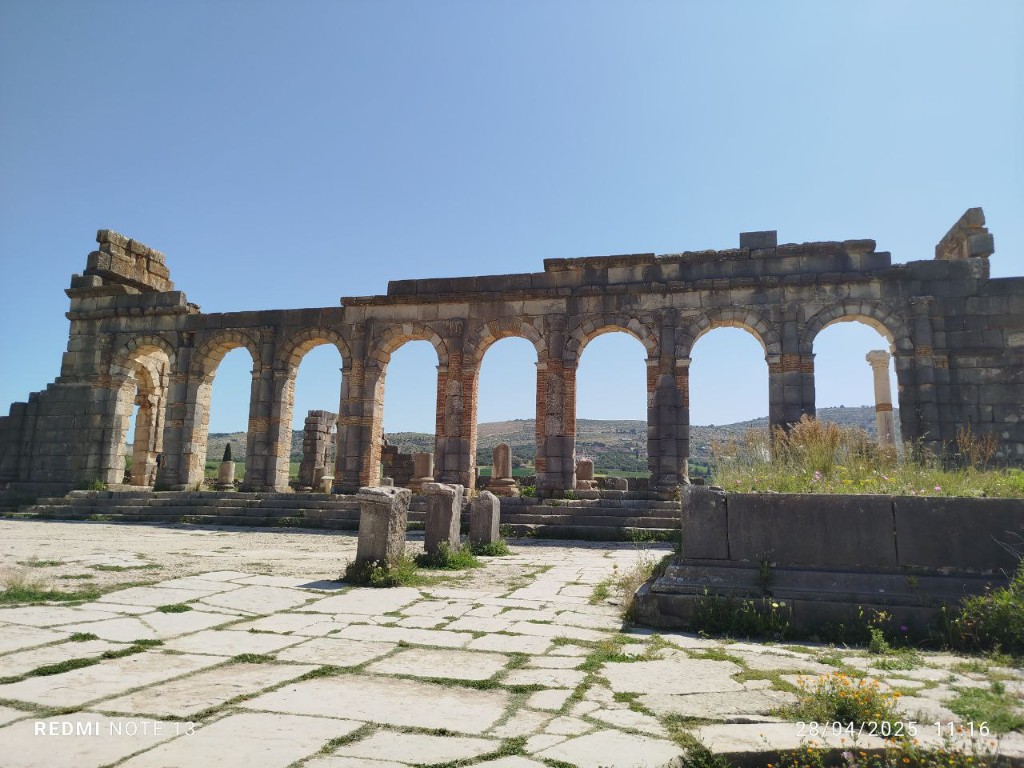 Circuit Volubilis